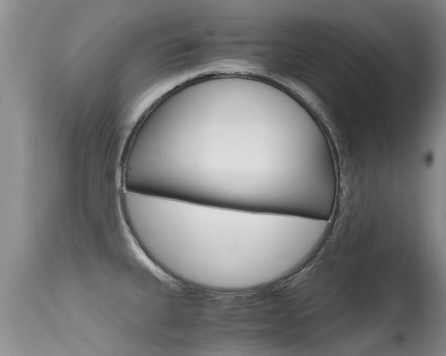 X0000115481335200911061016
