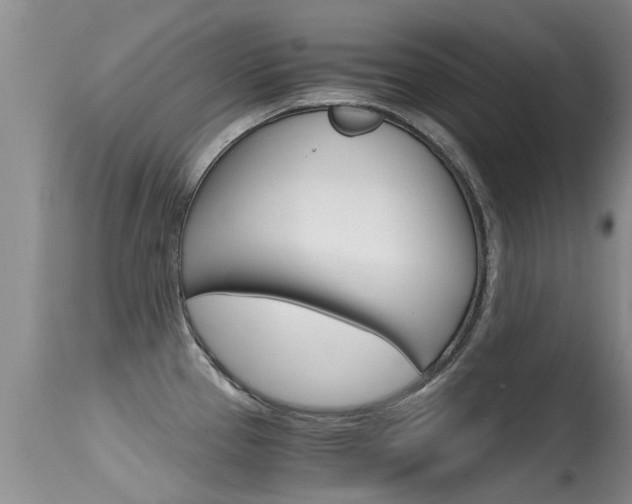X0000115481337200911061016