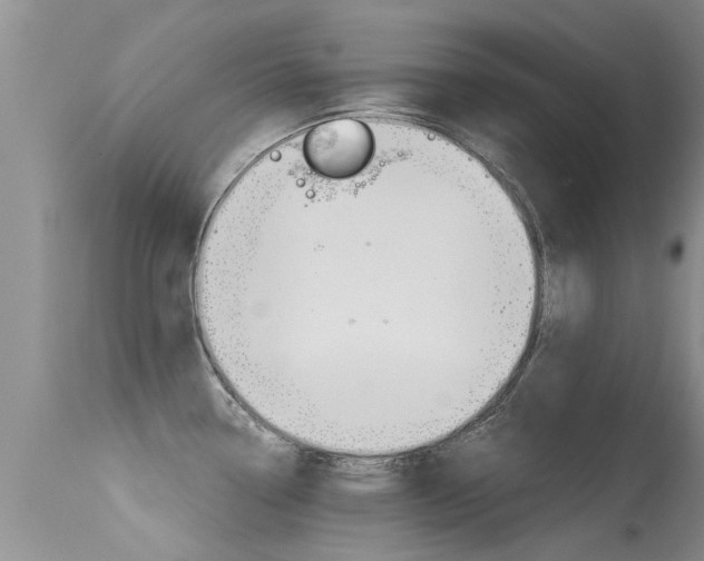 X0000115481338200911061016