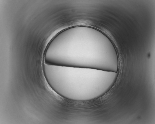 X0000115481339200911061016