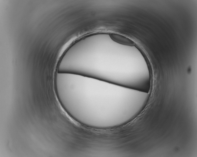 X0000115481341200911061016