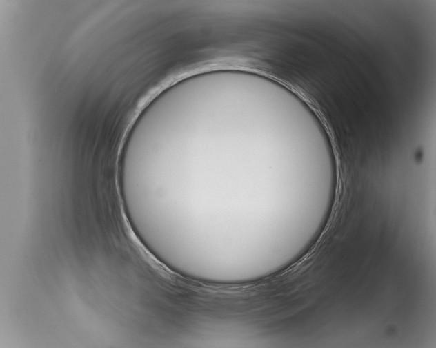 X0000115481342200911061016