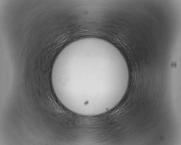 X0000115481345200911061015