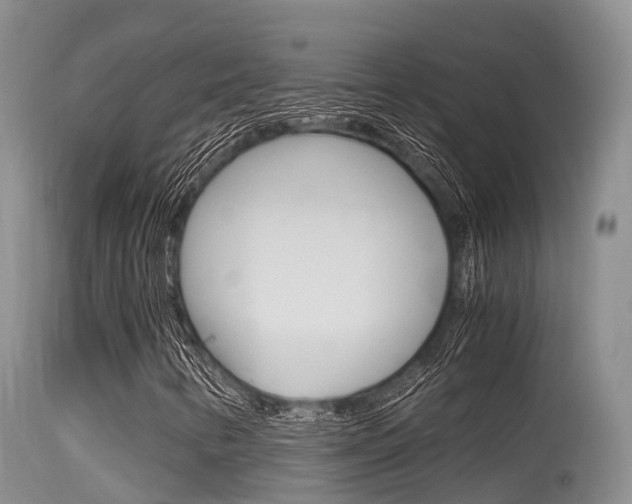 X0000115481346200911061015
