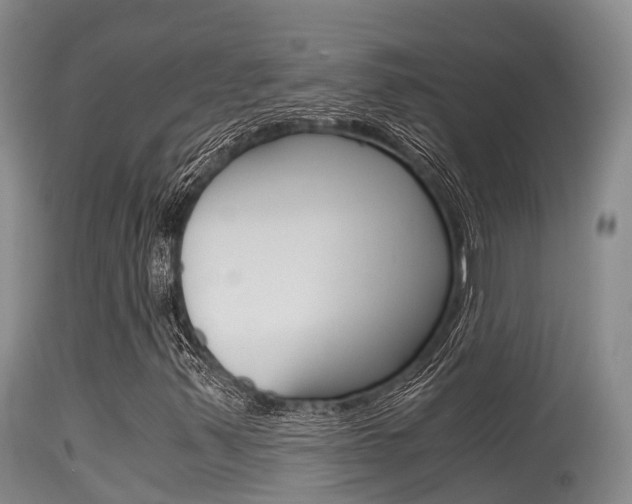 X0000115481347200911061015