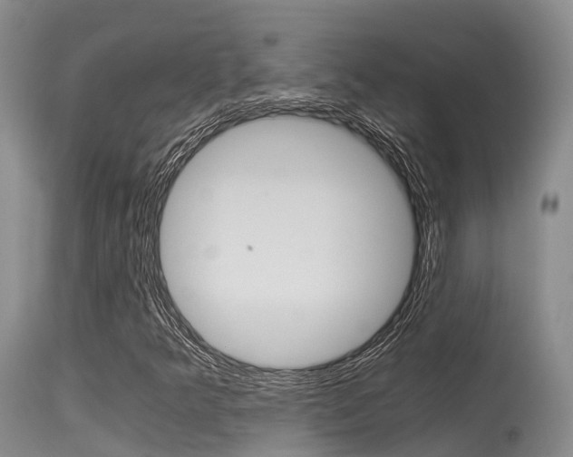 X0000115481349200911061015