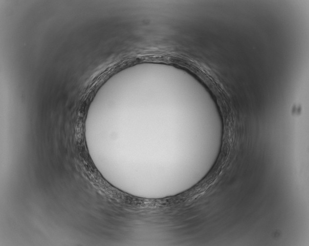 X0000115481350200911061015