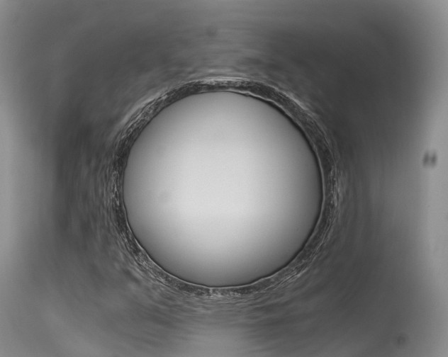 X0000115481351200911061015