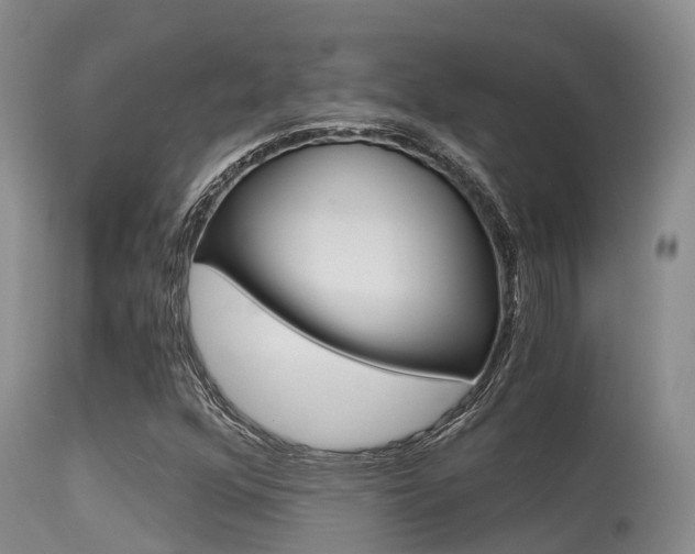 X0000115481352200911061015