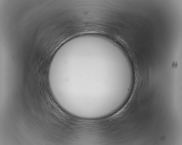 X0000115481353200911061015