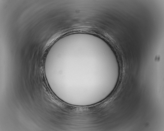 X0000115481354200911061015