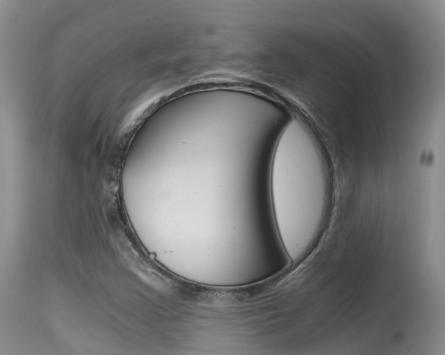 X0000115481355200911061015