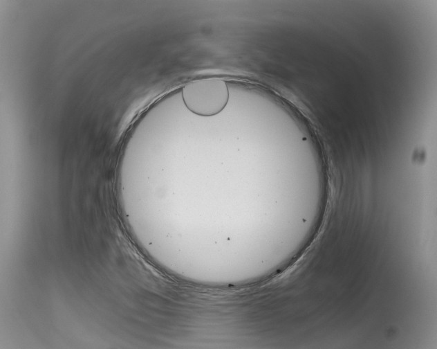 X0000115481357200911061015