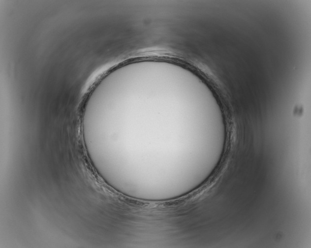 X0000115481358200911061015