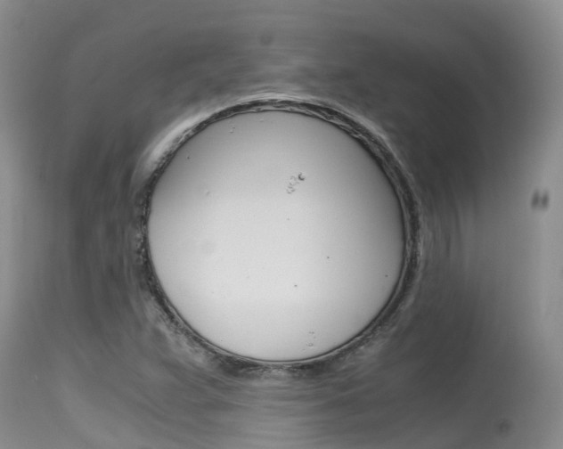 X0000115481359200911061015