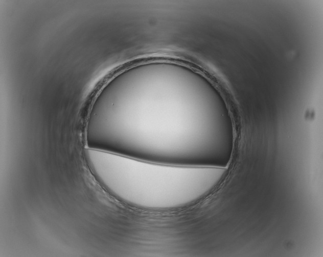 X0000115481360200911061015
