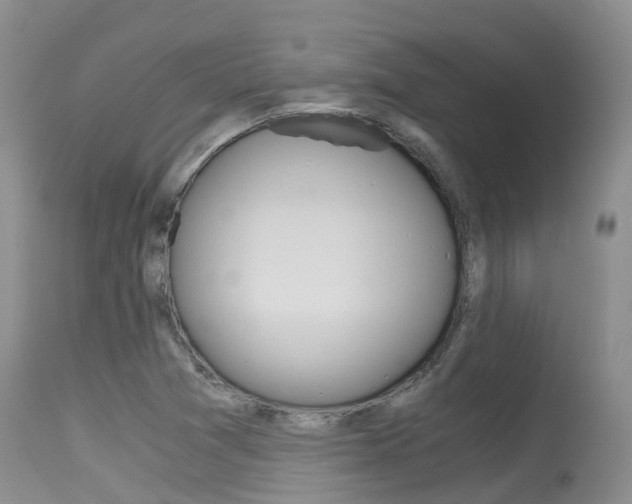 X0000115481361200911061015
