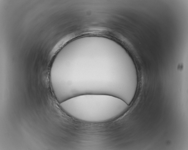 X0000115481362200911061015