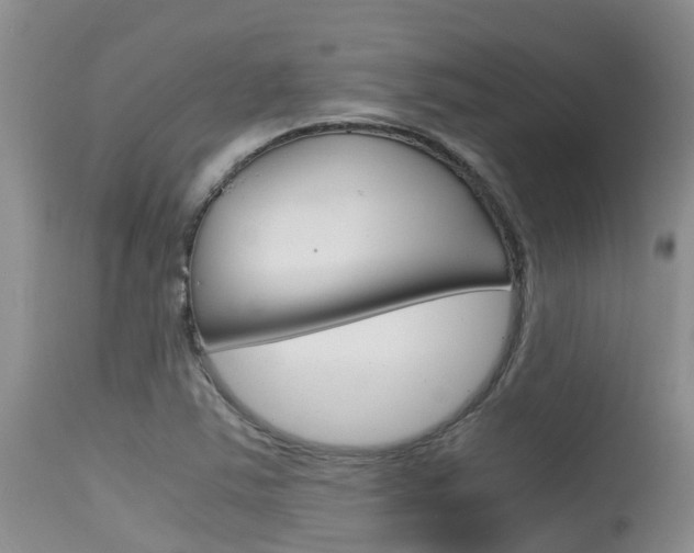 X0000115481363200911061015