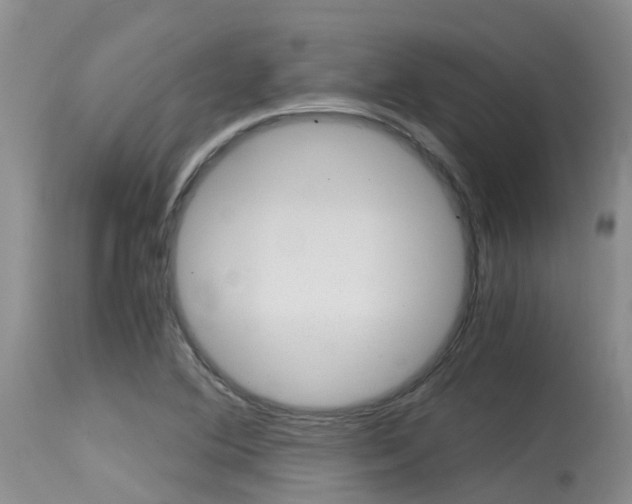 X0000115481364200911061015