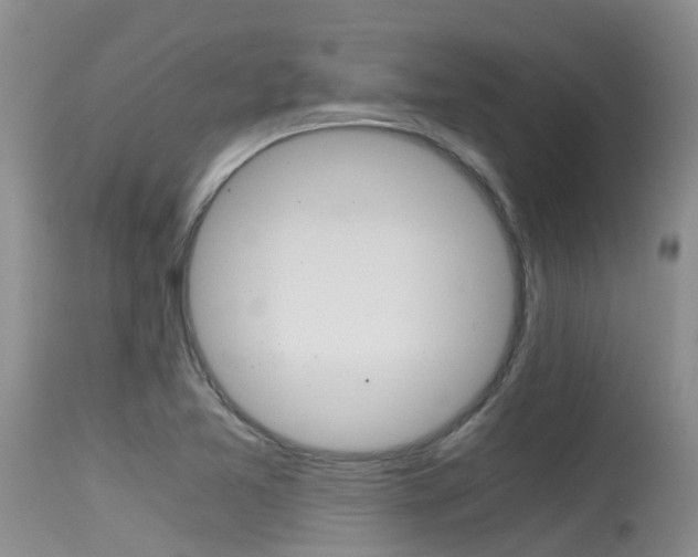 X0000115481365200911061015