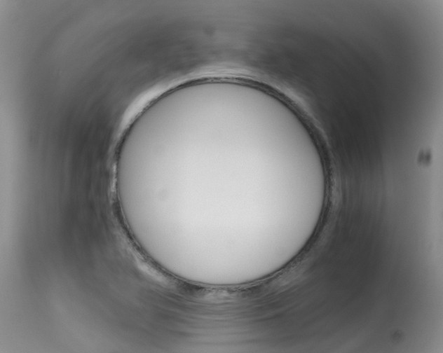X0000115481366200911061015