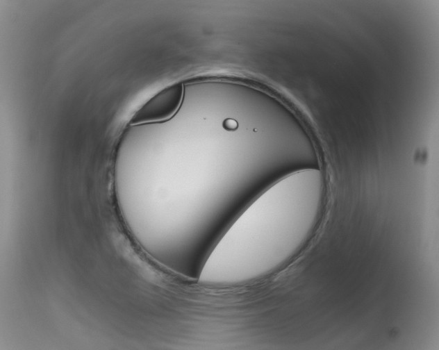X0000115481367200911061015