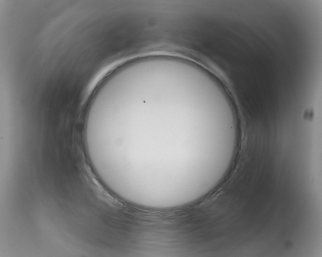 X0000115481368200911061015