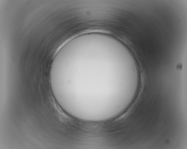 X0000115481369200911061015