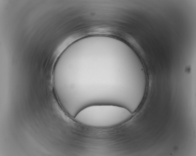X0000115481370200911061015