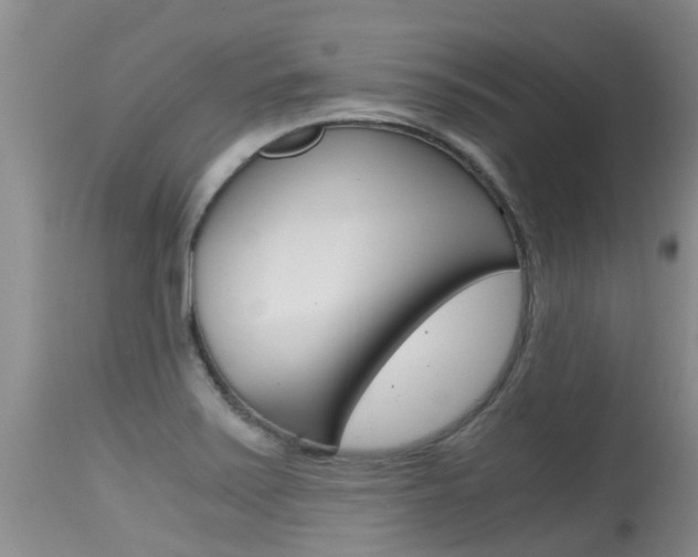 X0000115481371200911061015