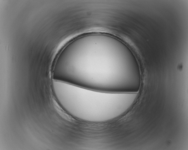 X0000115481372200911061015