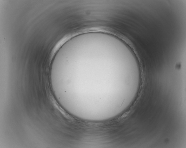 X0000115481373200911061015