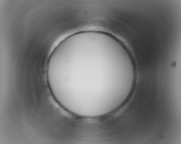 X0000115481374200911061015