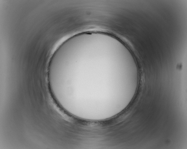 X0000115481375200911061015