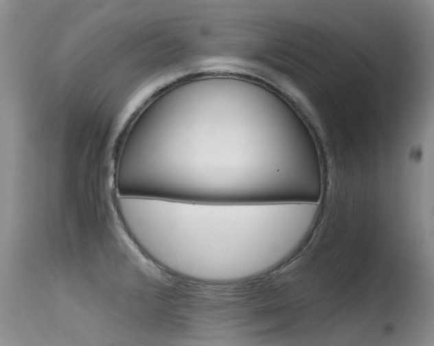 X0000115481376200911061015