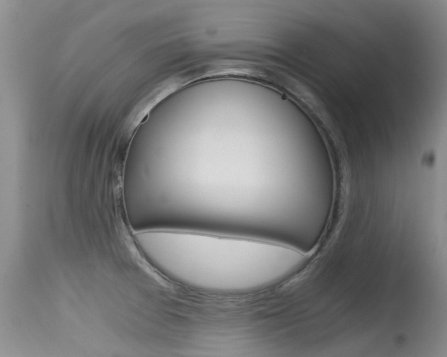 X0000115481377200911061015