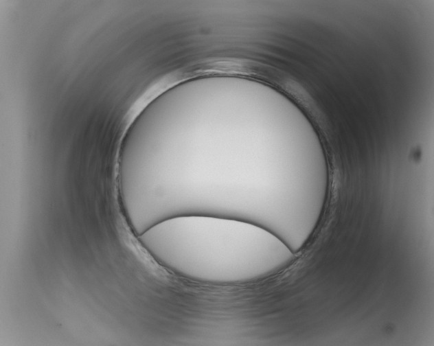 X0000115481378200911061015
