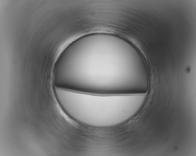 X0000115481379200911061015