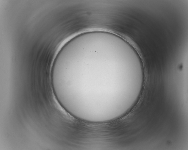 X0000115481380200911061015