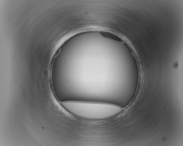 X0000115481381200911061015
