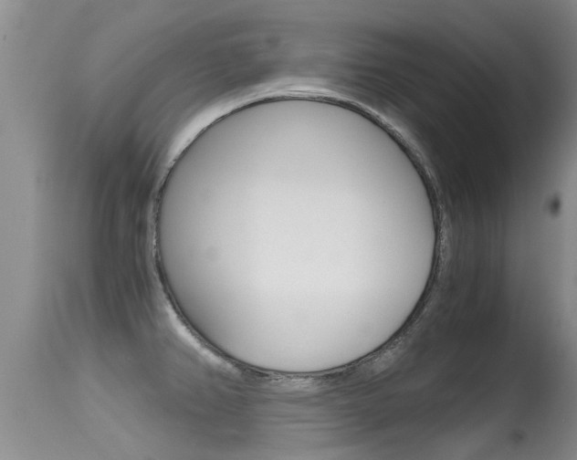 X0000115481382200911061015