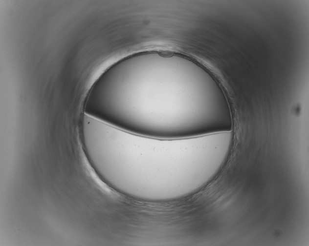 X0000115481383200911061015