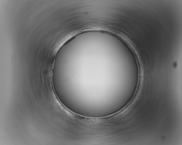 X0000115481385200911061015