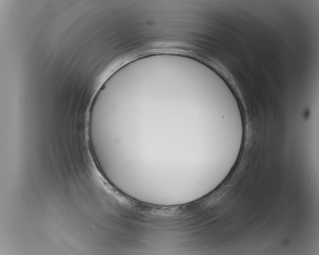 X0000115481386200911061015