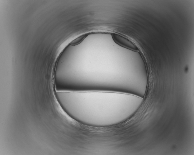 X0000115481387200911061015