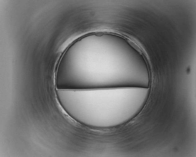 X0000115481388200911061015