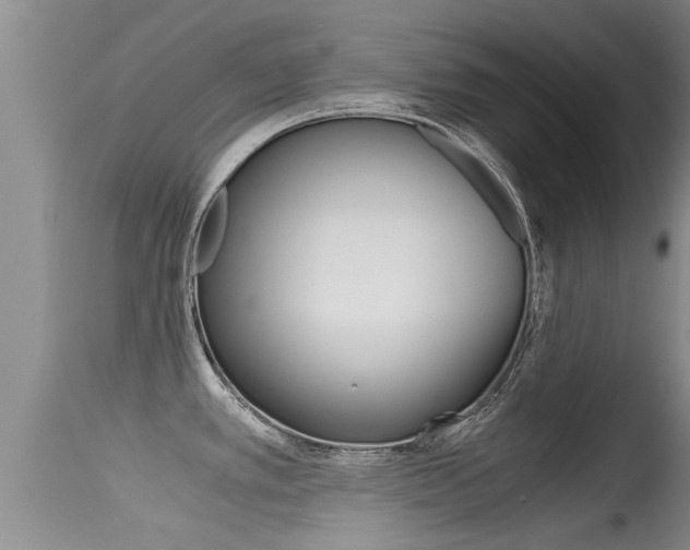 X0000115481389200911061015