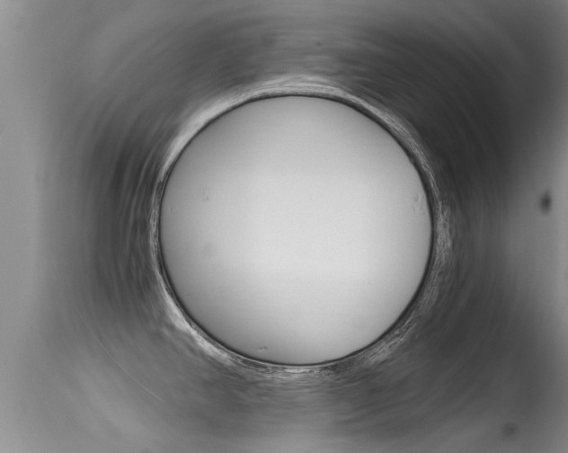 X0000115481390200911061015