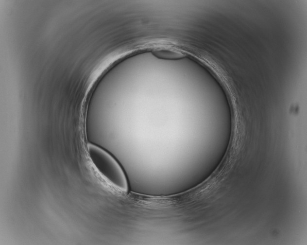 X0000115481392200911061015